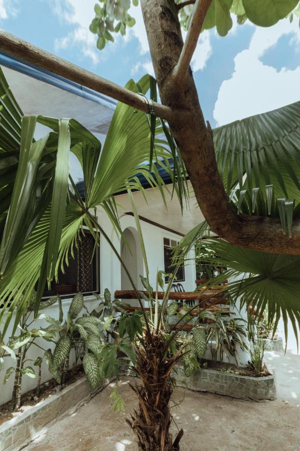 ゼネラル・ルナ Casa Ellaヴィラ エクステリア 写真
